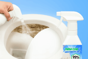 Taraa clean #2-  DGV